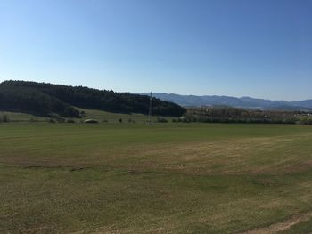 Scenic view of field against clear sky