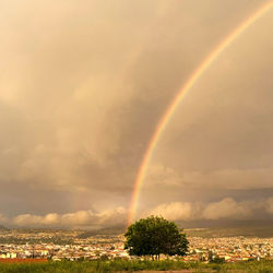 Scenic view of rainbow over city against sky