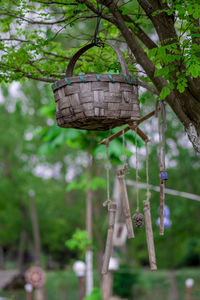 Low angle view of birdhouse hanging on tree