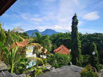 Plants and trees by building against sky