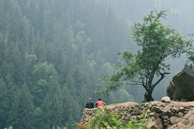 Man standing on mountain