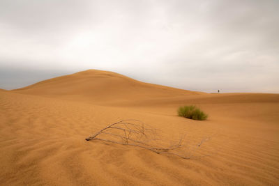 Scenic view of desert against sky