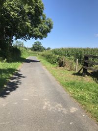 Road amidst trees on field against sky