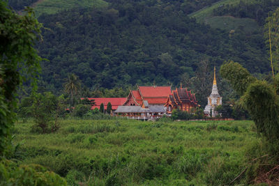 Temple against trees