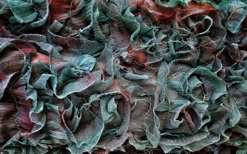 Full frame shot of leaf