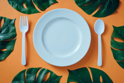 Directly above shot of plate and leaves on table