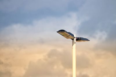 Low angle view of bird against sky