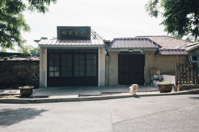Cat walking in a building