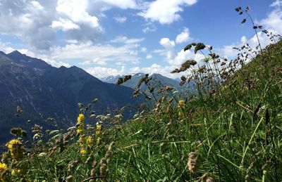 Scenic view of mountains against sky