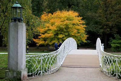 Footbridge against trees in lichtentaler allee