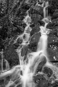 View of waterfall in forest