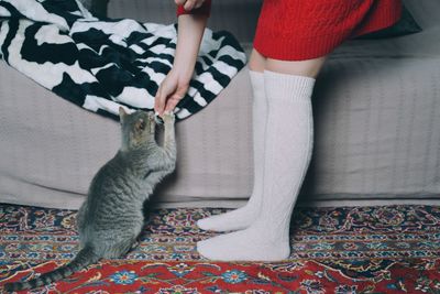 Low section of woman with cat
