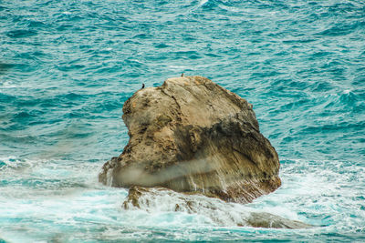 Rock formation in sea