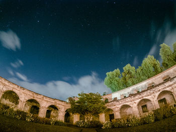 Low angle view of trees against sky at night