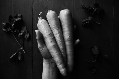 High angle view of hand holding vegetables