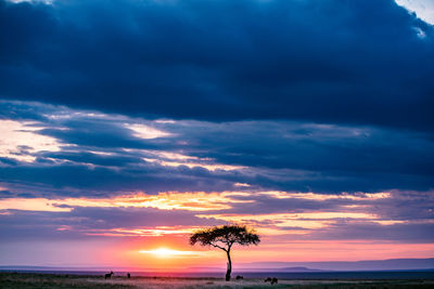 Silhouette trees by sea against dramatic sky during sunset