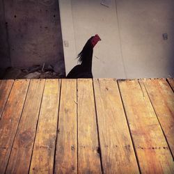 Close-up of wooden plank
