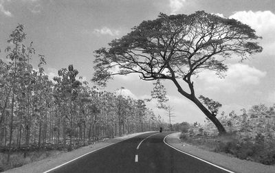 Road passing through country road