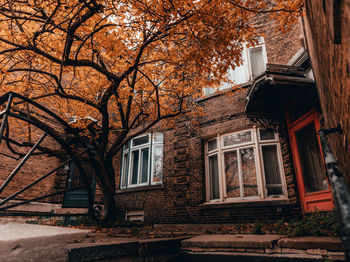 Low angle view of tree by building