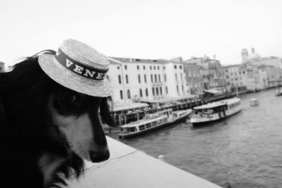 View of dog against boat in canal