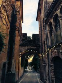 Archway amidst trees