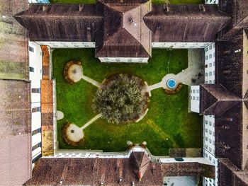 Directly above shot of horse in yard of house