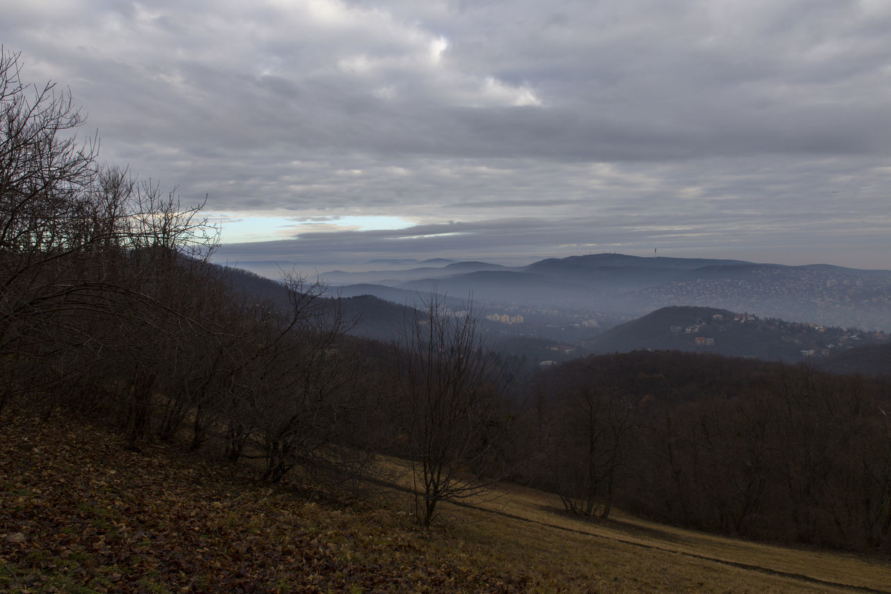 Winter fog over the city