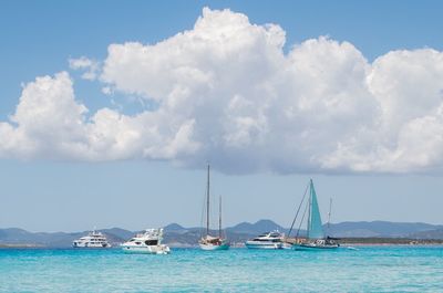 Sailboats and yachts sailing in sea against sky