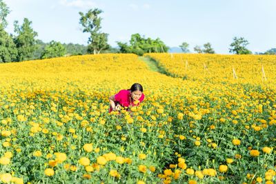 Young woman smelling while standing in marigold field