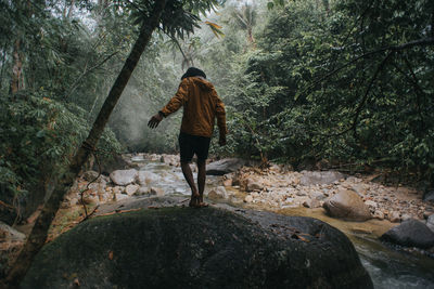 Rear view of man standing on rock in forest