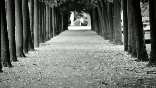 Street lights in row