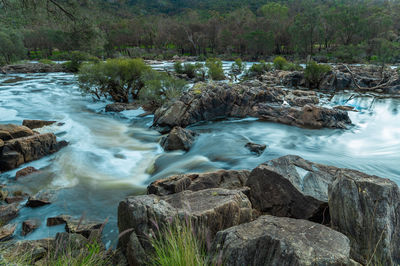 Stream flowing through rocks in forest