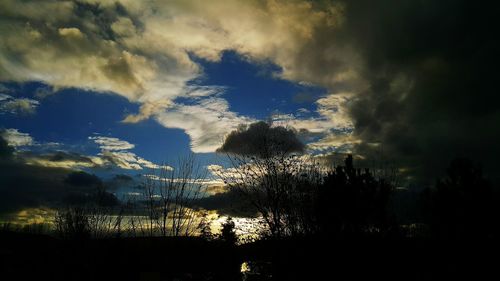 Low angle view of trees against cloudy sky