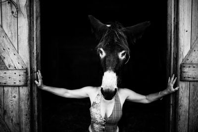 Woman hiding face behind donkey head at barn