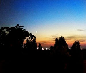 Silhouette trees against clear sky during sunset