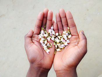 High angle view of hand holding flower