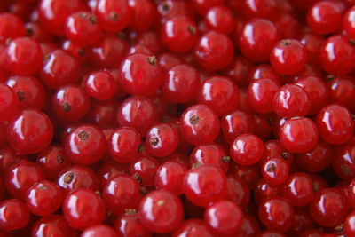 Full frame shot of red currants