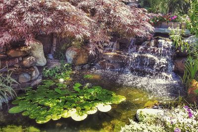 View of water flowing through rocks in garden