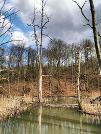 Bare trees by lake against sky