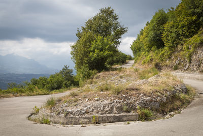 Road amidst trees and plants against sky