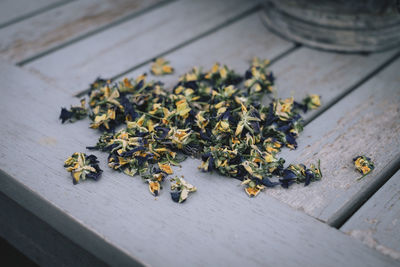 High angle view of flowering plant on table