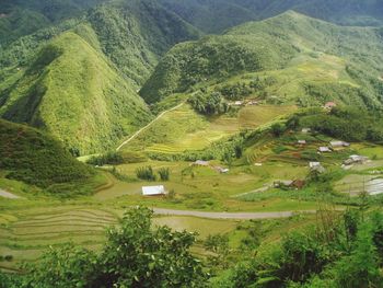 High angle view of agricultural field