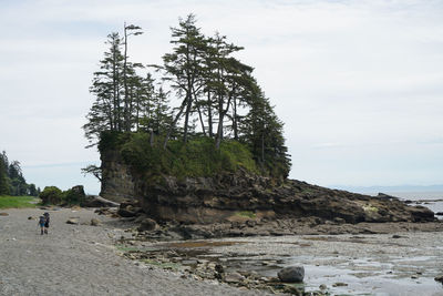 Rear view of walking at beach against sky