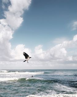 Bird flying over sea against sky