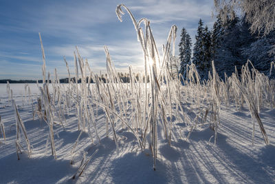 Scenic view of snow covered landscape against sky