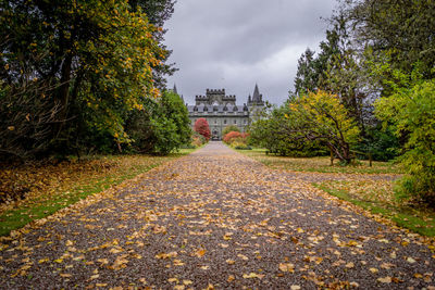 Narrow pathway along trees