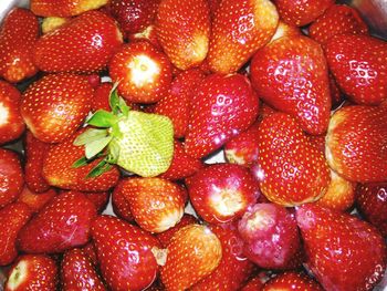 Full frame shot of strawberries