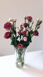 Close-up of pink flowers on table