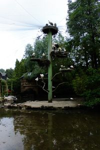 Fountain in garden