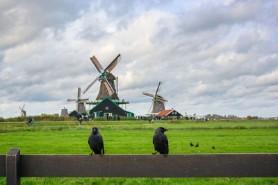 Traditional windmill on field against sky